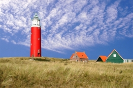 Stark Texel