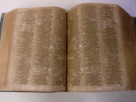 Concordantiae bibliorum ad antiquos et novos codices diligenter collectae et auctae