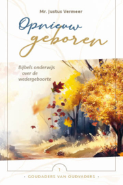 Vermeer, Mr. Justus-Opnieuw geboren (nieuw)