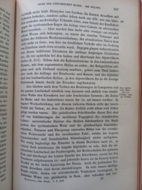 Mommsen, Theodor-Römische Geschichte (Erster Band)