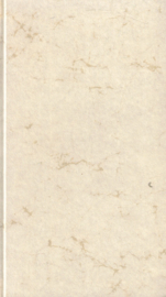 Erasmus-De Lof der Zotheid