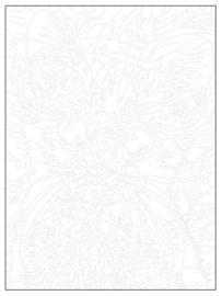 Lakicevic, Dusan-Kleur & Onthul Schattige dieren (nieuw)