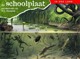 Koekkoek, M.A.-De schoolplaat; In ons land