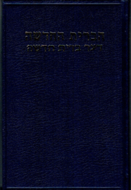 Einspruch, Dr. Henry-Yiddish translation of the New Testament