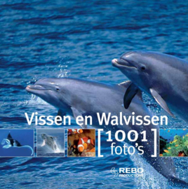 Deynat, Pascal-Vissen en walvissen