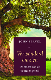 Flavel, John-Verwonderd omzien (nieuw)