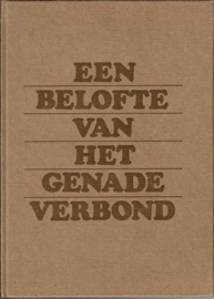 Dam, Ds. Chr. van-Een belofte van het Genadeverbond