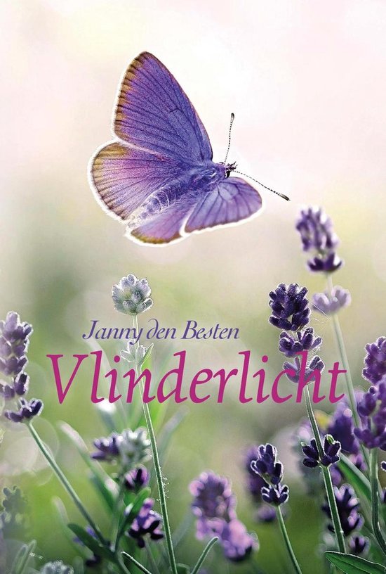 Besten, Janny den-Vlinderlicht (nieuw)