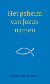 Bruggen, Dr. Jakob van-Het geheim van Jezus' namen