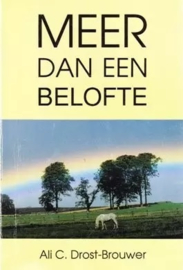 Drost Brouwer, Ali C.-Meer dan een belofte