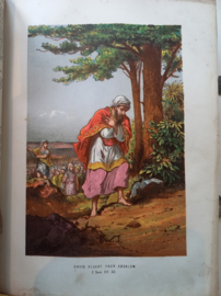 Sijthoff, A.W. (uitgever)-Bijbel