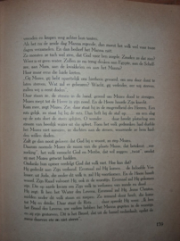 Wijk, B.J. van--De Bijbelse Geschiedenis aan onze kinderen verhaald