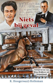 Hoogerwerf Holleman, R.-Niets bij geval (nieuw)