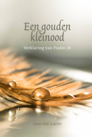 Laren, Joos van-Een gouden kleinood (nieuw)
