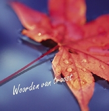 Henry, Matthew (e.a.)-Woorden van troost