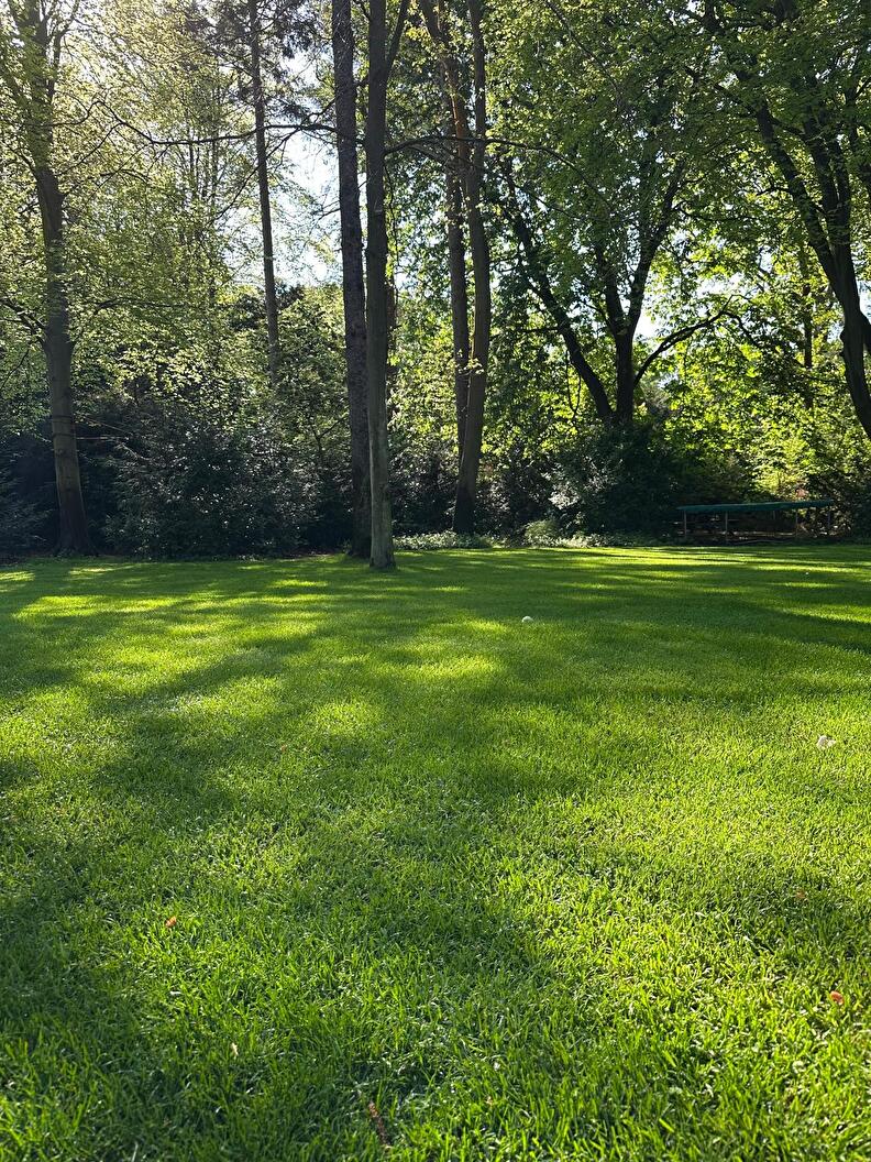 foto 39 mooi gazon doehetzelf gazonherstel pakket
