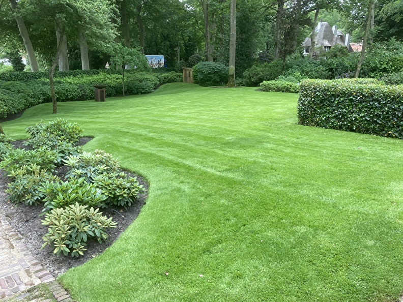 Foto 19 mooi gazon met onderhoud dienst