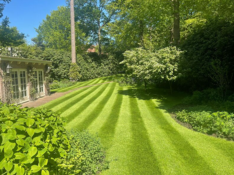 foto 40 mooi gazon doehetzelf gazonherstel pakket