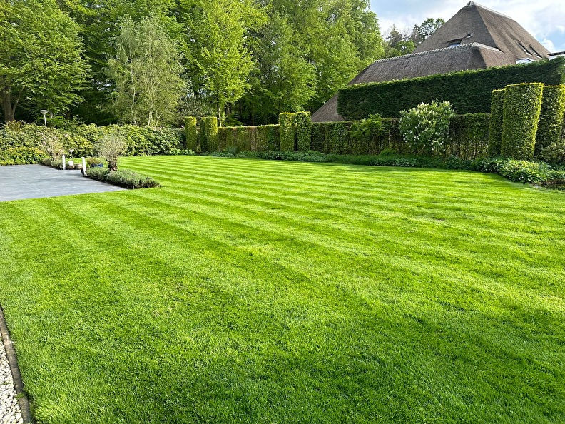 Foto van een mooi groen gazon