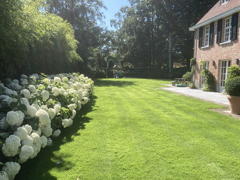 foto van mooi gazon met mooie tuin