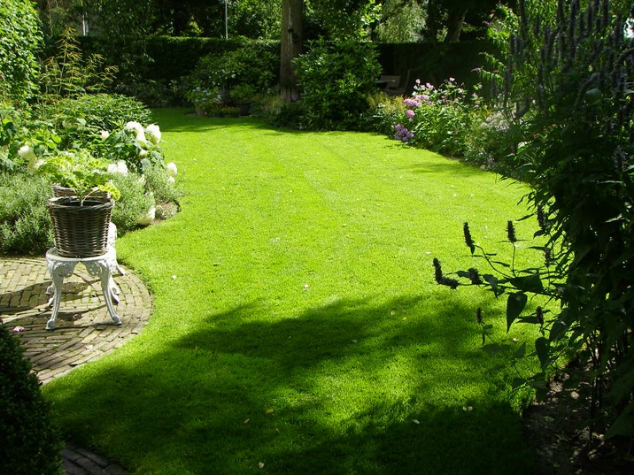 foto van een knusse tuin met een prachtig gazon