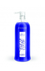 Blueberry Shampoo 250ml