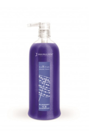 Blueberry ICE Shampoo - 250ml (NEW)
