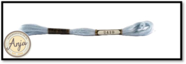 Venus 2419