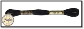 Venus 2458