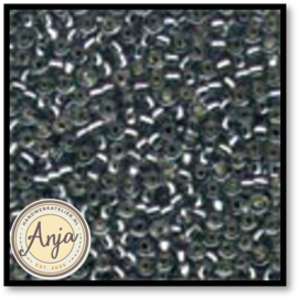 02022 Glass Seed Beads Silver