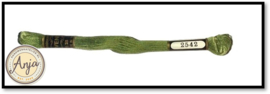 Venus 2542