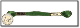 Venus 2539