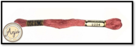Venus 2224