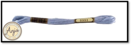 Venus 2331