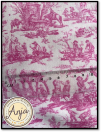 PR5819-21C Toile de jouy Rose 50 x 75 cm