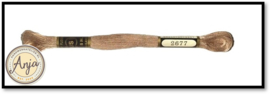 Venus 2677