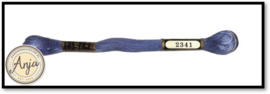 Venus 2341
