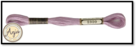 Venus 2320