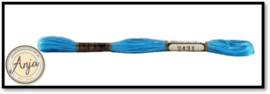 Venus 2431