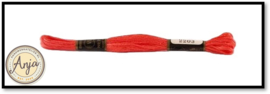 Venus 2203