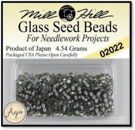 02022 Glass Seed Beads Silver