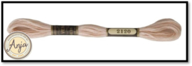Venus 2120