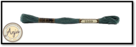 Venus 2509