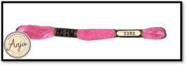 Venus 2262