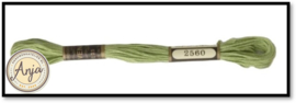 Venus 2560