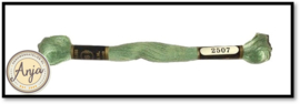 Venus 2507
