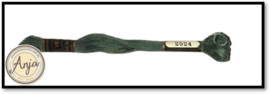 Venus 2524