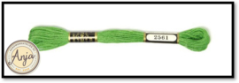 Venus 2561