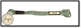 Venus 2522
