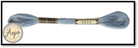 Venus 2451